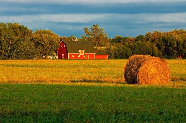 Canada-Manitoba-Matlock Red barn and bale at sunrise